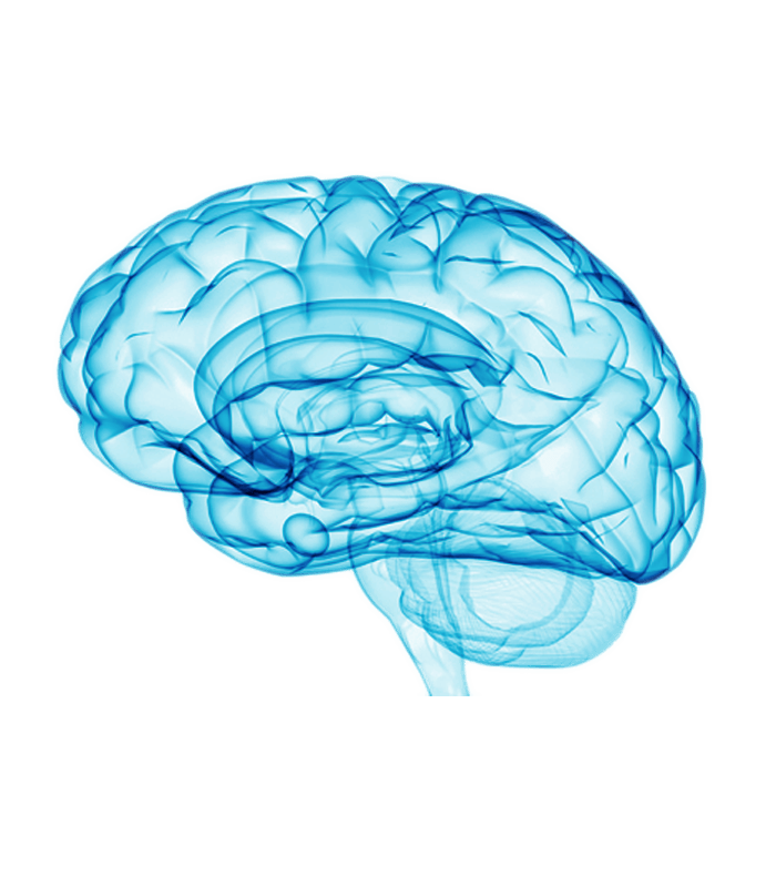 Ilustrație creier și oxigenare